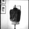 Readymades assisted … Shaving the "Star of David" into the fur coat and exhibiting it with the title "Survival" created many layers of meaning and interpretation.