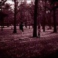 Photographer, Yoyogi park, Shibuya