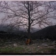 &nbsp; It was icy cold and Samaria gorge on the Island of Crete was desolate. Then I found this superb trace of a time before deadlines and stockmarket trends…